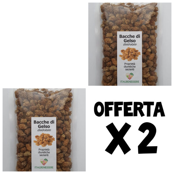 Bacche di Gelso